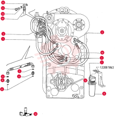HOSE 75286019