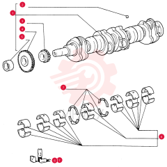 CRANKSHAFT 61316615