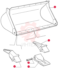 SHANK 76028599 (3)
