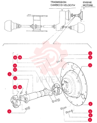 DRIVEN SHAFT 79109962