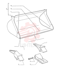 SHANK 76028599 (2)