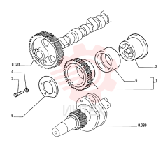 DRIVEN GEAR 61316289