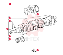 CRANKSHAFT 4785107
