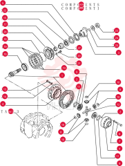 BEVEL GEAR