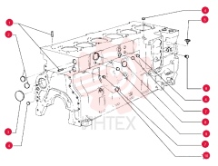 DOWEL 75208212