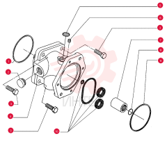 O-RING 75288503