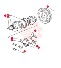CRANKSHAFT F0NN6300JB