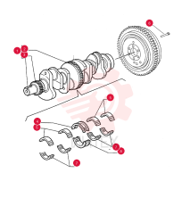 CRANKSHAFT 87800523