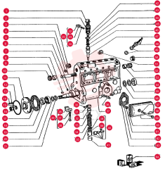 CAP 75204423