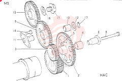 GEAR VAME032684