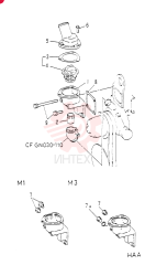 CASE VAME035274