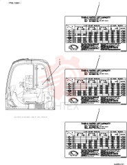 DECAL YT20T01305P2