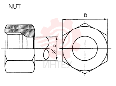 NUT ZF93N06000