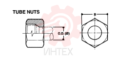 NUT ZF93N06000
