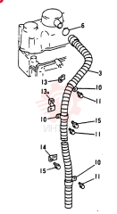 HOSE