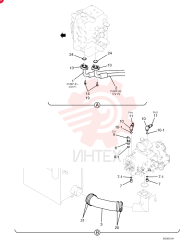 HOSE YY30H01023D1 (2)