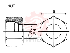 NUT ZA93N10000