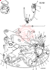 FUEL LINES PW21P00006F1