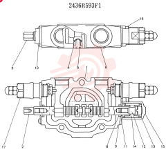 PLUNGER 2436R593F1