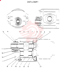 HYDRAULIC PUMP 2437U392F1