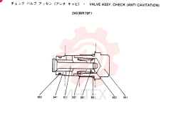 VALVE 24036R78F1