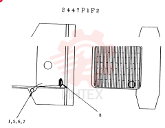 BUZZER GROUP, BACK 2447P1F2