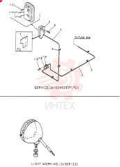LIGHT GROUP, SERVICE 24100N5283F1