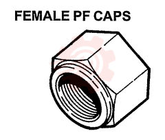 PLUG 2444Z2729D1