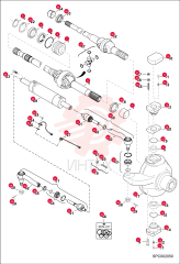 BUSH