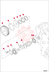 CAMSHAFT, FUEL