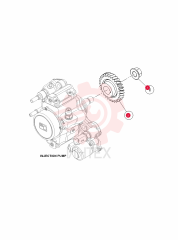 NUT, FLANGE 7030372