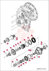 BEARING 7289387
