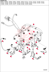 HARNESS, ENG