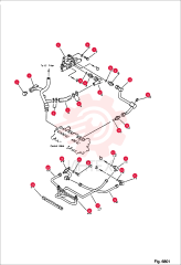 HOSE 6654081 (1)