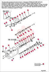 PUMP 6651244 (12)