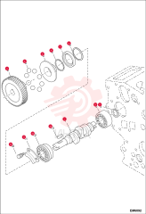 CAMSHAFT, FUEL