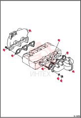 MANIFOLD