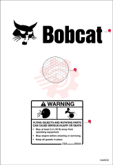 DECAL, LOGO BOBCAT AND HEAD 6809831