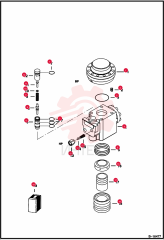 ACCUMULATOR ASSEMBLY 6676654 (1)