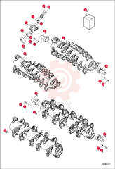 BOLT 6692571
