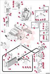 HOSE 5388665542 (1)