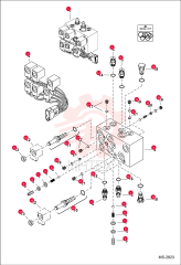VALVE ASSEMBLY 7008063
