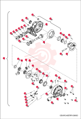 DIFFERENTIAL, REAR 7023462 (1)