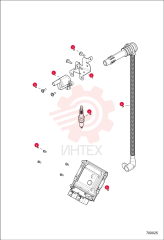 COIL, IGNITION, EFI 7016316 (5)