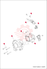 THROTTLE BOTTLE ASSEMBLY 7258157 (1)