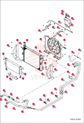 SHROUD, RADIATOR CENTER 7027847 (3)