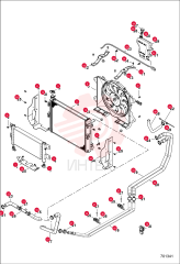 SHROUD, RADIATOR CENTER 7027847 (5)