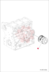 FILTER, OIL ENG 7257441 (8)