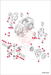DIFFERENTIAL, REAR 7002333 (1)