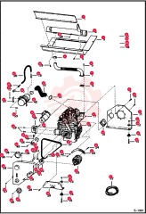 SHIELD 6561285